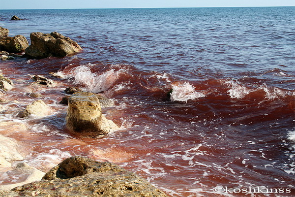 красная вода в севастополе