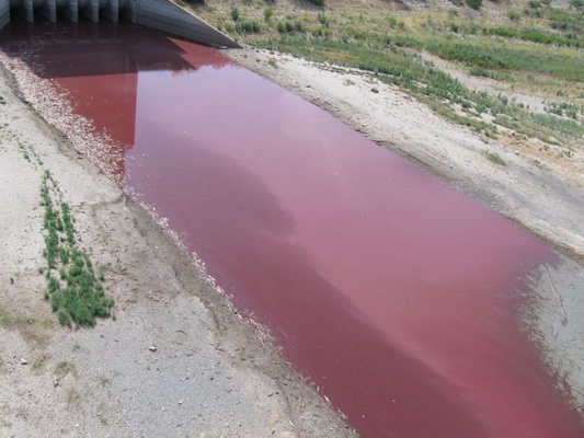 красная вода в техасе