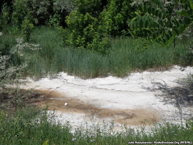 Загрязненный ставок в Днепропетровске Загрязненный ставок в Днепропетровске